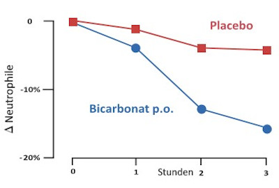 Bicarbonat reduziert Entzündungsreaktionen: Neutrophile